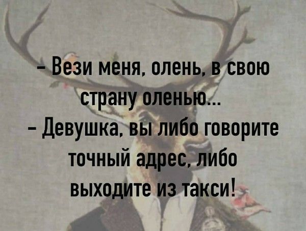 - Вези меня, олень, в свою страну оленью...
- Девушка, вы либо говорите точный адрес, либо выходите из такси!