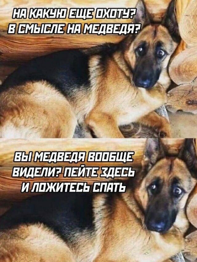 НА КАКУЮ ЕЩЕ ОХОТУ? В СМЫСЛЕ НА МЕДВЕДЯ? ВЫ МЕДВЕДЯ ВООБЩЕ ВИДЕЛИ? ПЕЙТЕ ЗДЕСЬ И ЛОЖИТЕСЬ СПАТЬ