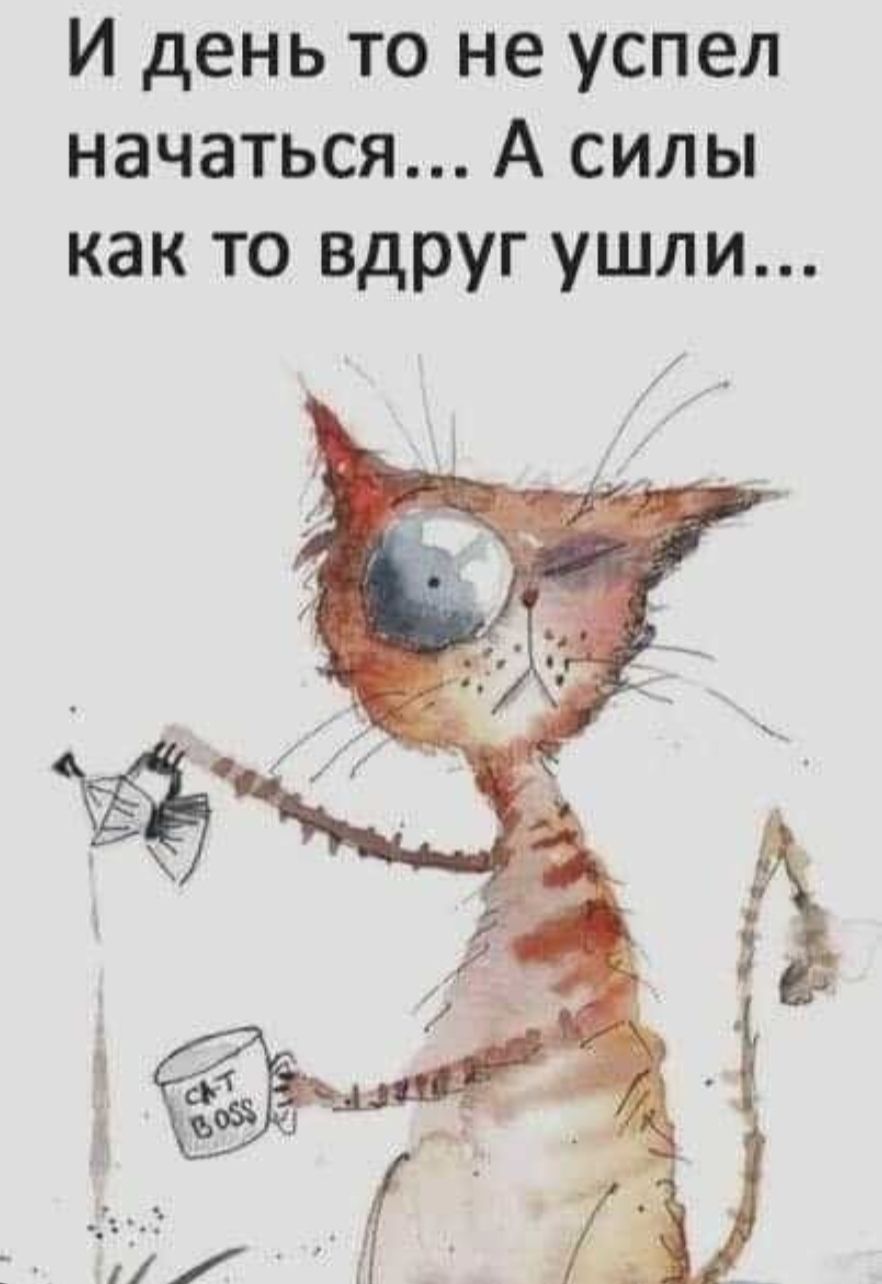 И день то не успел начаться... А силы как то вдруг ушли...