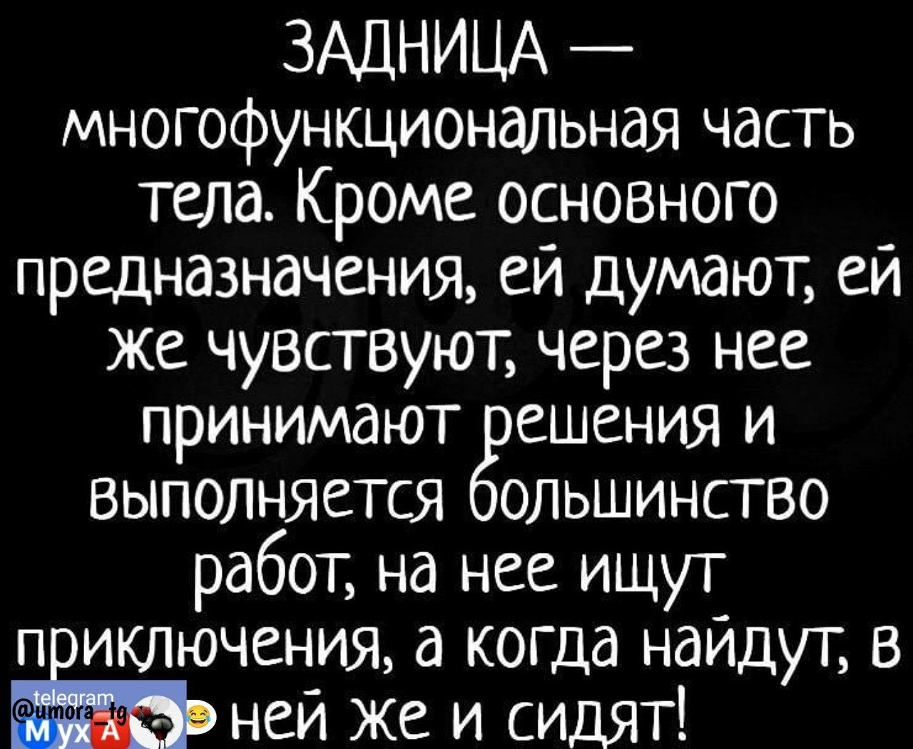 ЗАЦНИЦА многофункциональная часть тела Кроме основного предназначения еи думают еи же чувствуют через нее принимают ешения и выполняется ольшинство работ на нее ищут п иключения а когда найдут в Ьчг ней же и сидят