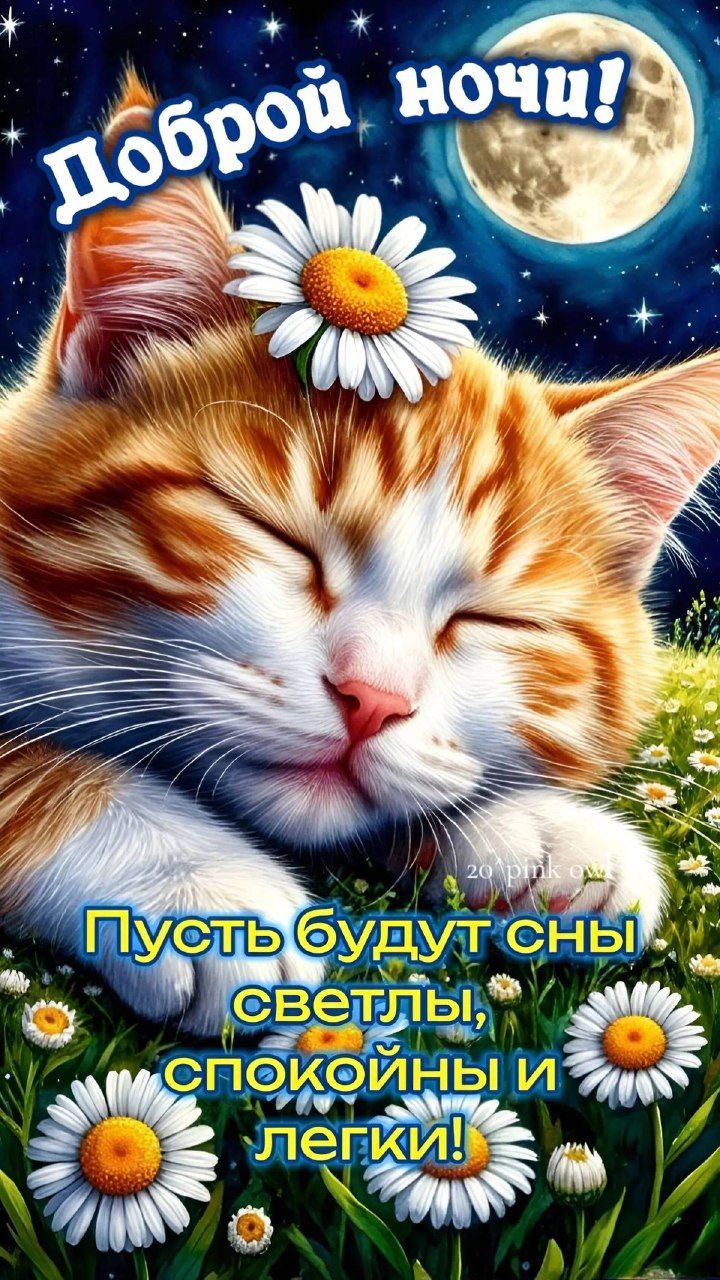 Доброй ночи!
Пусть будут сны светлы, спокойны и легки!