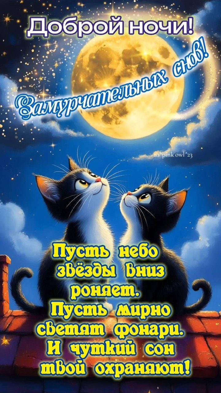 Доброй ночи! Замечательных снов! Пусть небо звёзды вниз роняет. Пусть мирно светят фонари. И чуткий сон твой охраняют!
