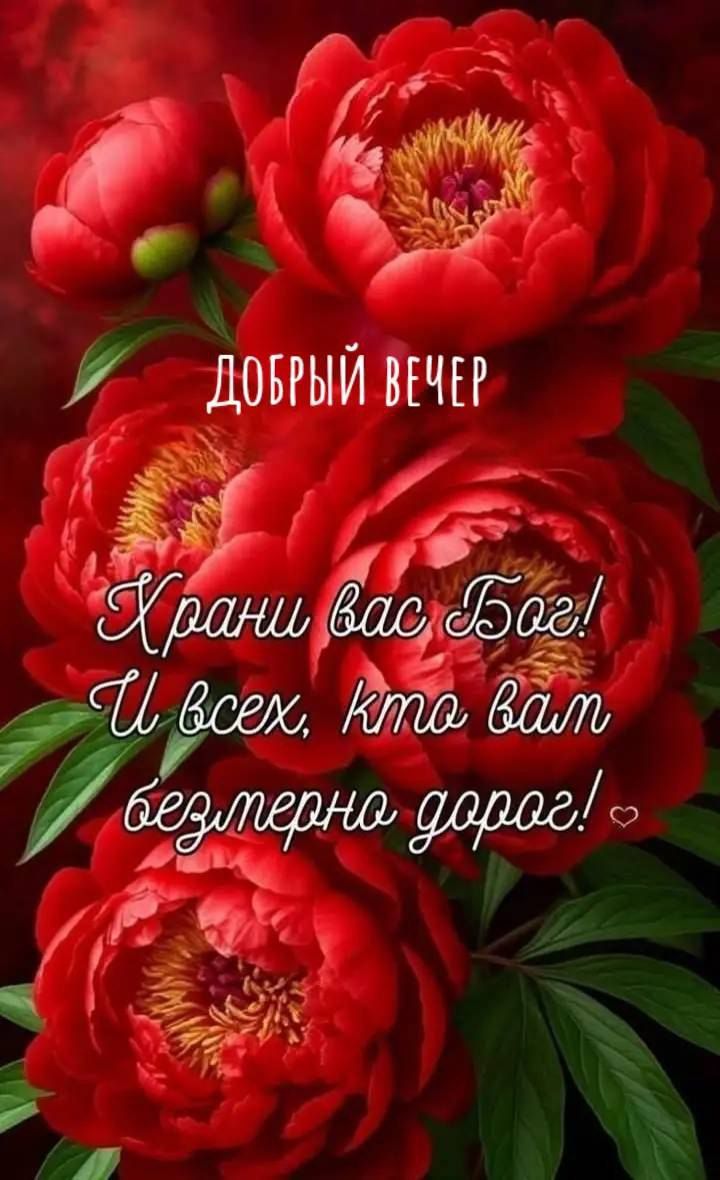 ДОБРЫЙ ВЕЧЕР
Храни вас Бог! И всех, кто вам безмерно дорог!