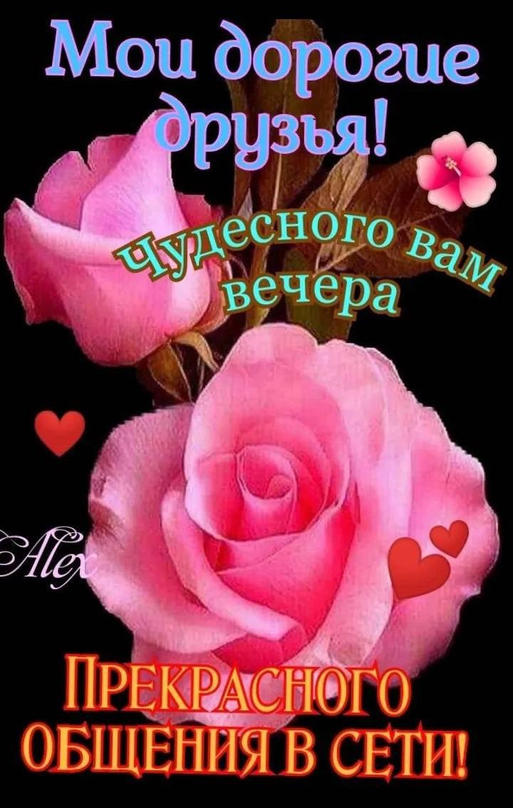 Мои дорогие друзья! Чудесного вам вечера. Прекрасного общения в сети!