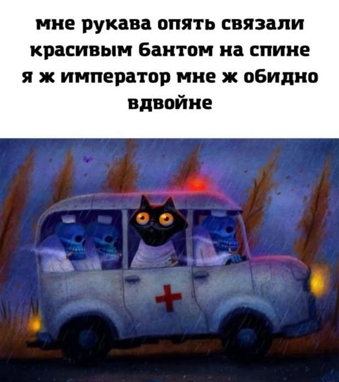 мне рукава опять связали красивым бантом на спине я ж император мне ж обидно вдвоине
