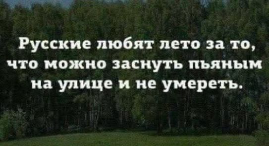 Русские любят лето за то, что можно заснуть пьяным на улице и не умереть.