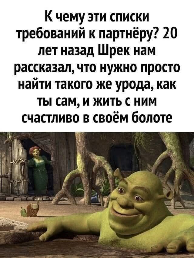 К чему эти списки требований к партнёру? 20 лет назад Шрек нам рассказал, что нужно просто найти такого же урода, как ты сам, и жить с ним счастливо в своём болоте