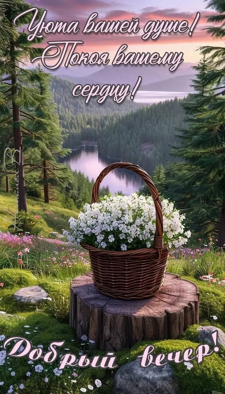 Уюта вашей душе! Покоя вашему сердцу! Добрый вечер!