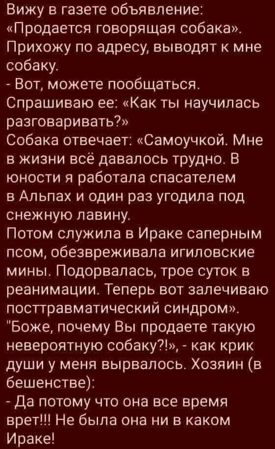 Вижу в газете объявление: «Продается говорящая собака». Прихожу по адресу, выводят к мне собаку. - Вот, можете пообщаться. Спрашиваю её: «Как ты научилась разговаривать?» Собака отвечает: «Самоучкой. Мне в жизни всё давалось трудно. В юности я работала спасателем в Альпах и один раз угодила под снежную лавину. Потом служила в Ираке саперным псом, обезвреживала игиловские мины. Подорвалась, трое суток в реанимации. Теперь вот залечиваю посттравматический синдром.» 