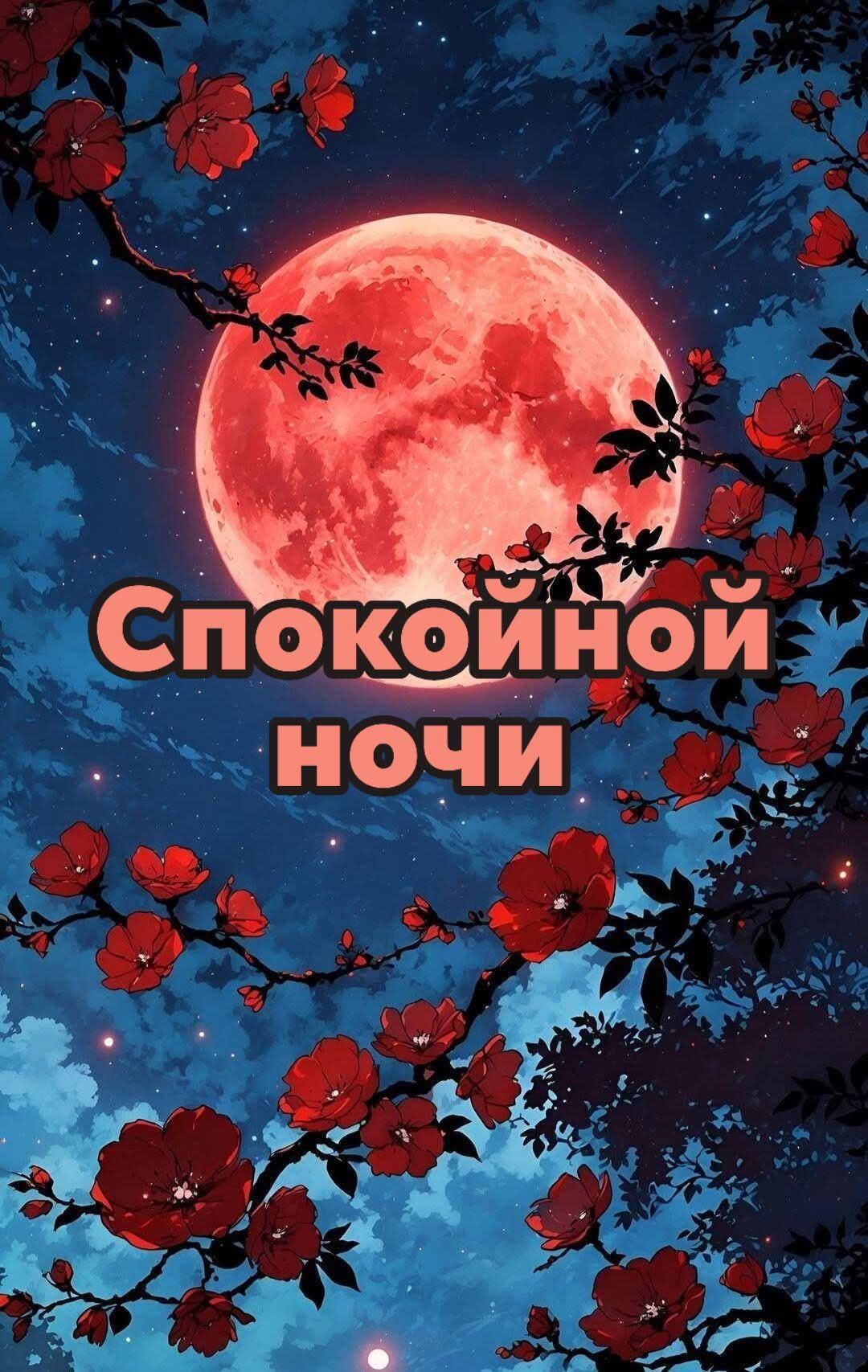 Спокойной ночи