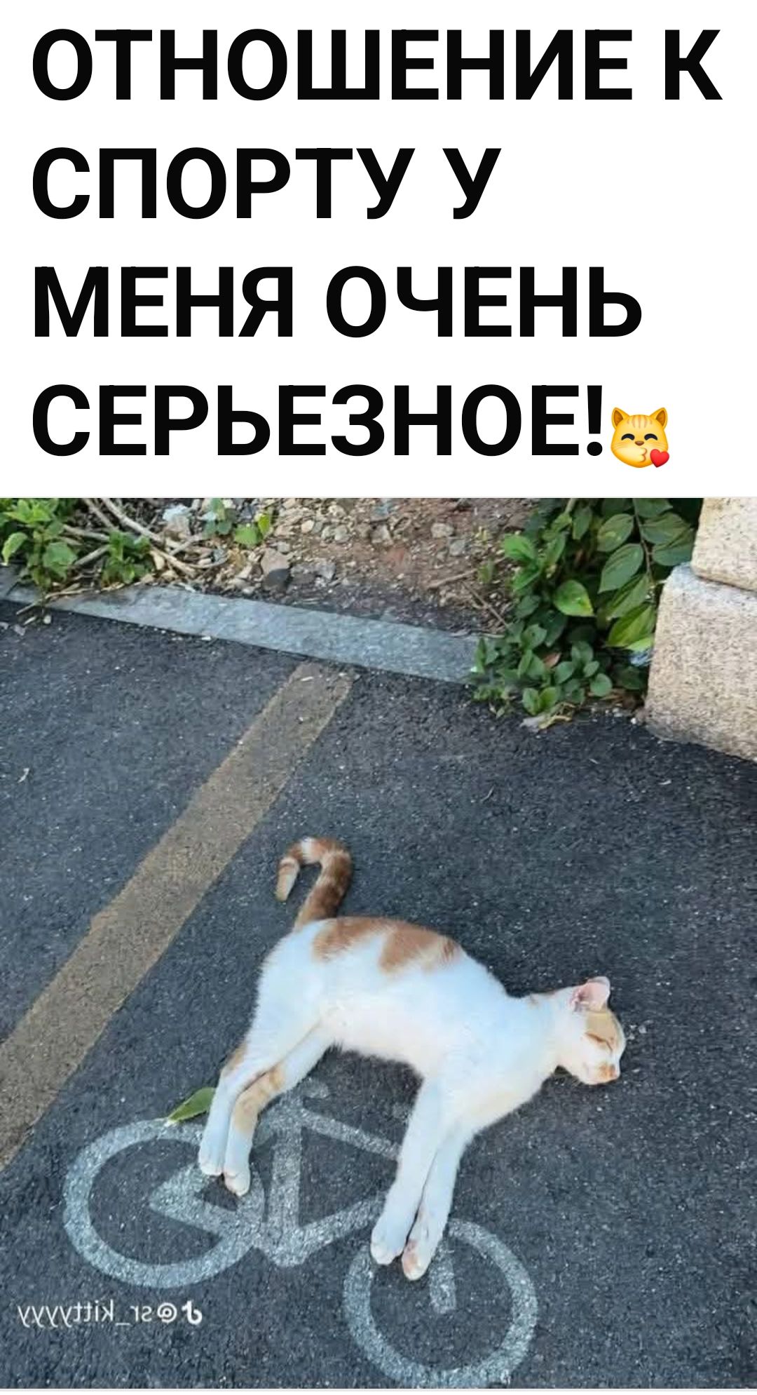 ОТНОШЕНИЕ К СПОРТУ У МЕНЯ ОЧЕНЬ СЕРЬЕЗНОЕ!