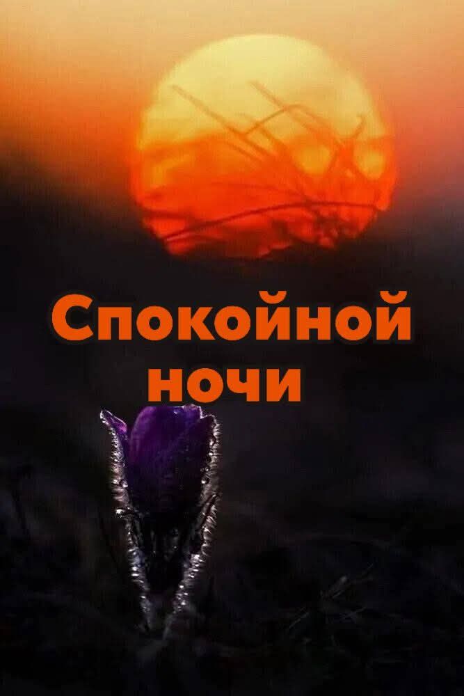 Спокойной ночи