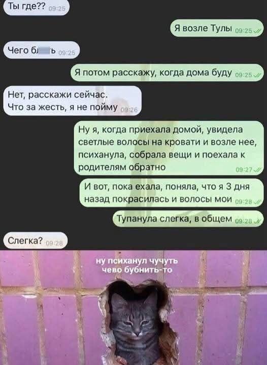 Ты где??
Чего б...
Я возьму Тулы
Я потом расскажу, когда дома буду
Нет, расскажи сейчас.
Что за жесть, я не пойму
Ну я, когда приехала домой, увидела светлые волосы на кровати и возле нее, психанула, собрала вещи и поехала к родителям обратно
И вот, пока ехала, поняла, что я 3 дня назад покрасилась в волосы мои
Тупанула слегонца, в общем
Слегка?
ну психанул чуть-чуть чего бунтить-то
