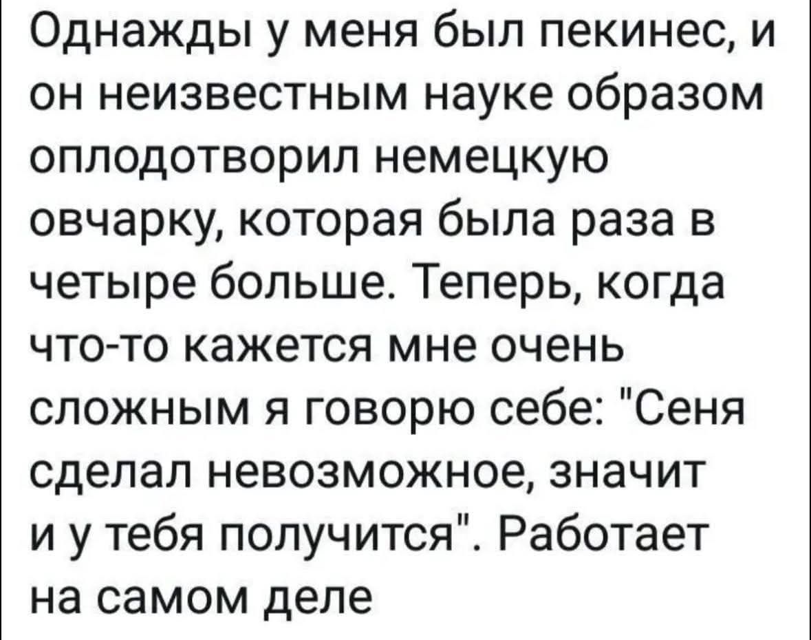 Однажды у меня был пекинес, и он неизвестным науке образом оплодотворил немецкую овчарку, которая была раза в четыре больше. Теперь, когда что-то кажется мне очень сложным я говорю себе: 