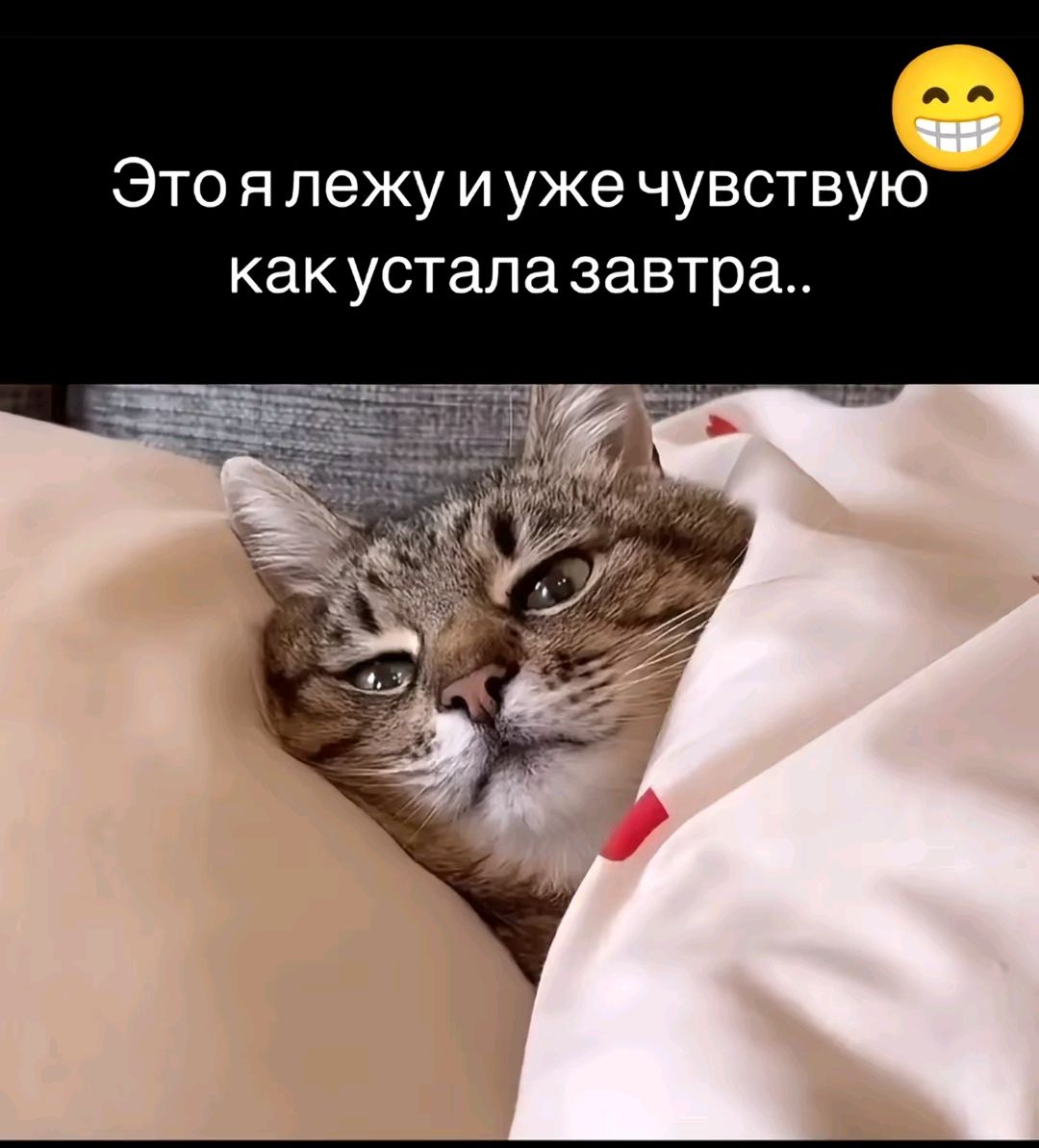 Это я лежу и уже чувствую как устала завтра..
