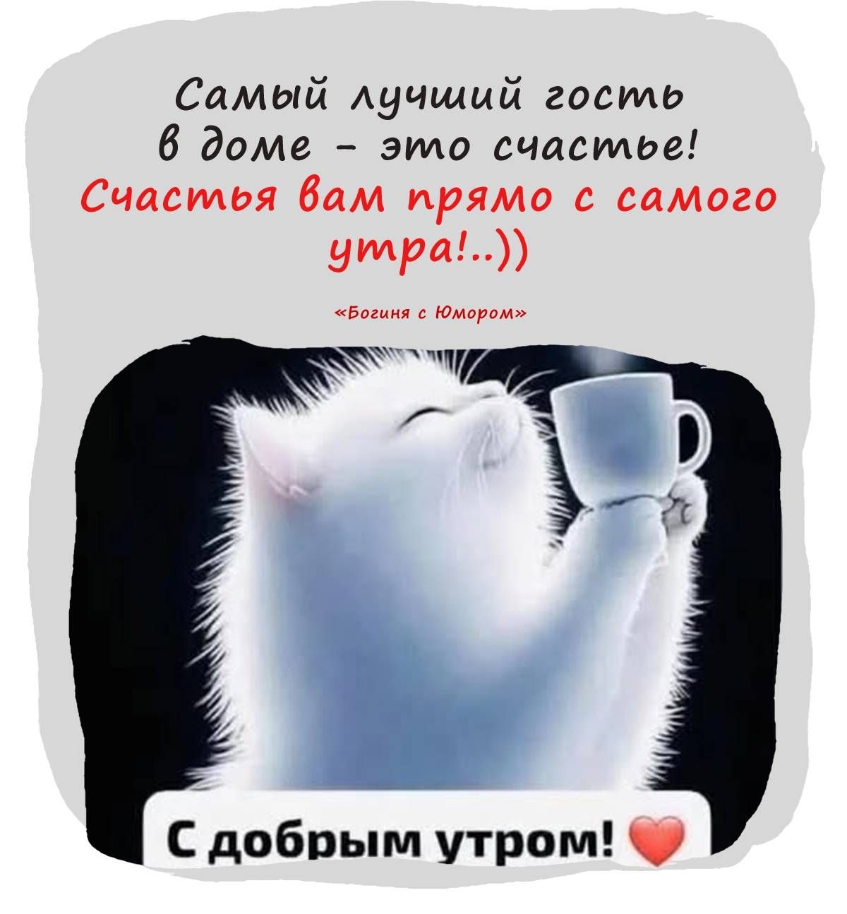 Самый лучший гость в доме – это счастье! Счастья вам прямо с самого утра!..)) «Богиня с Юмором» С добрым утром! ❤️