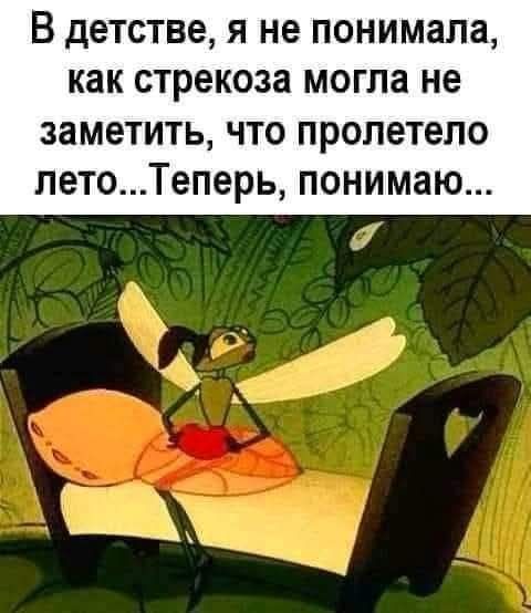 В детстве, я не понимала, как стрекоза могла не заметить, что пролетело лето... Теперь, понимаю...