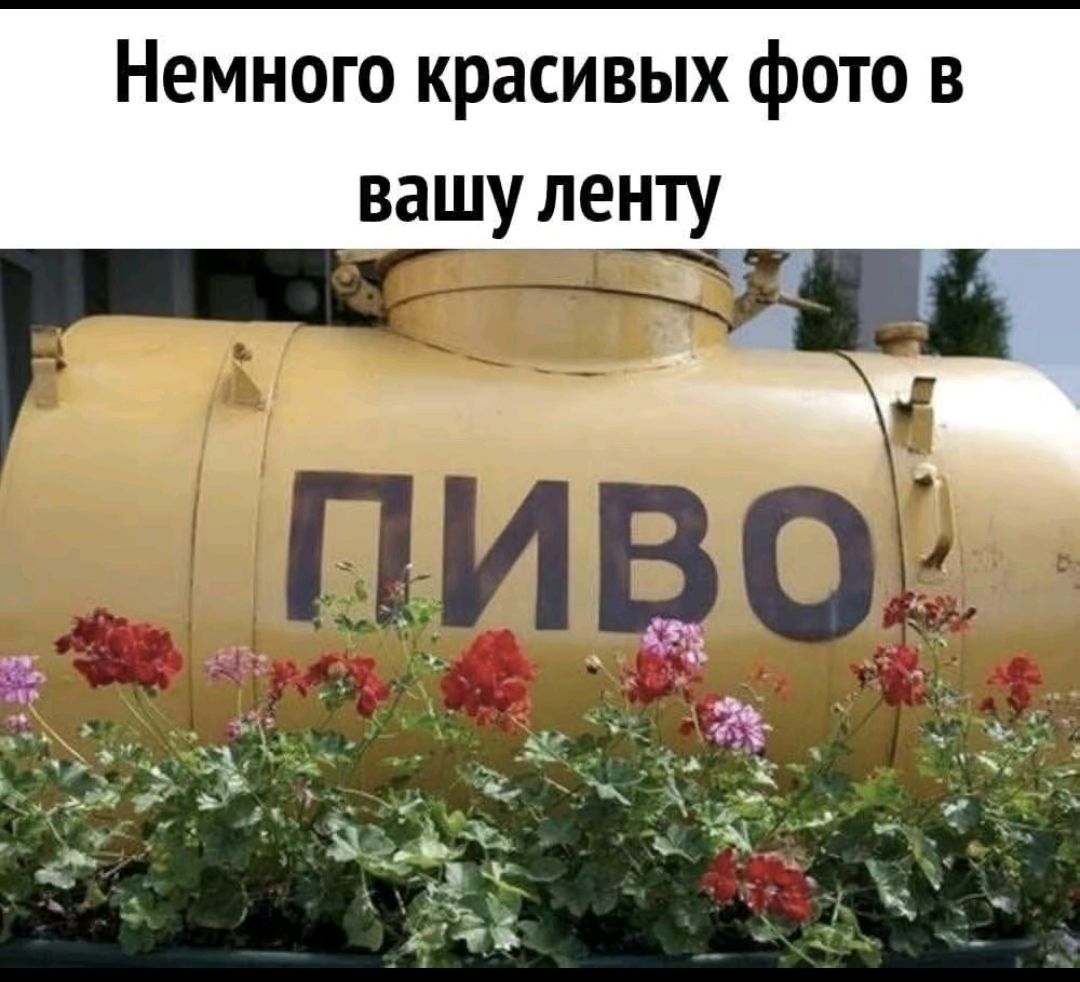 Немного красивых фото в вашу ленту
ПИВО