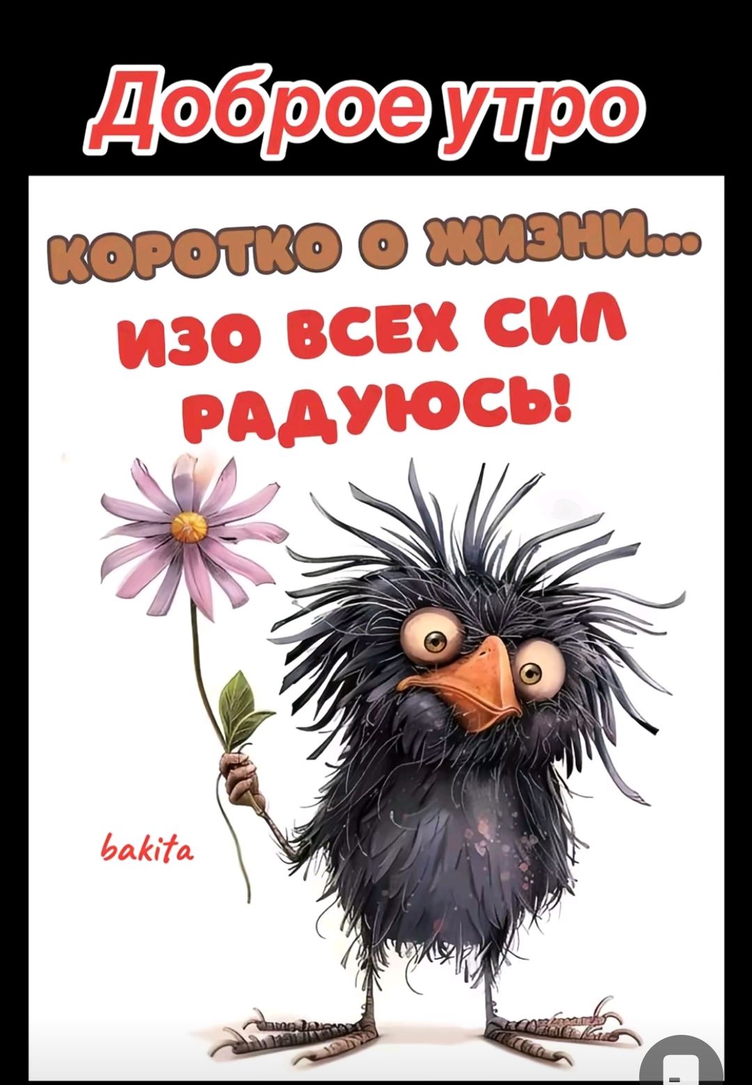 Доброе утро
коротко о жизни…
ИЗО ВСЕХ СИЛ РАДУЮСЬ!