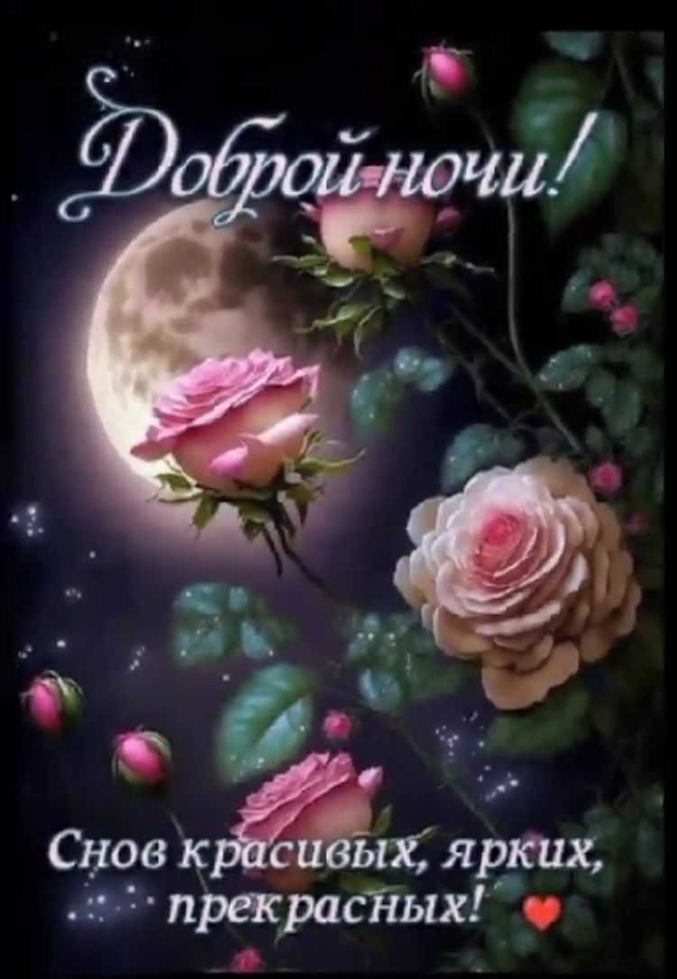 Доброй ночи! Снова красивых, ярких, прекрасных!