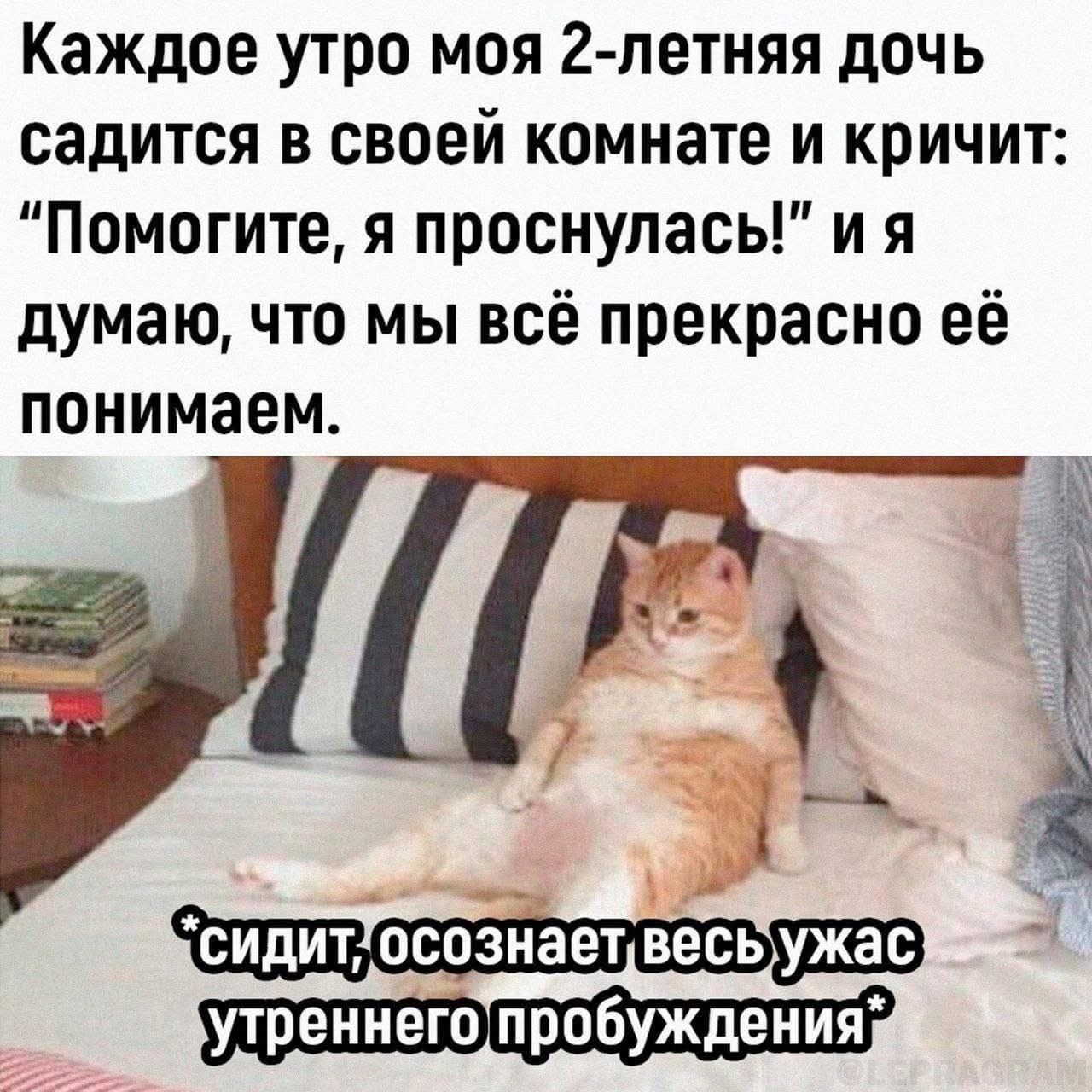 Каждое утро моя 2-летняя дочь садится в своей комнате и кричит: “Помогите, я проснулась!” и я думаю, что мы всё прекрасно её понимаем.
*сидит, осознает весь ужас утреннего пробуждения*