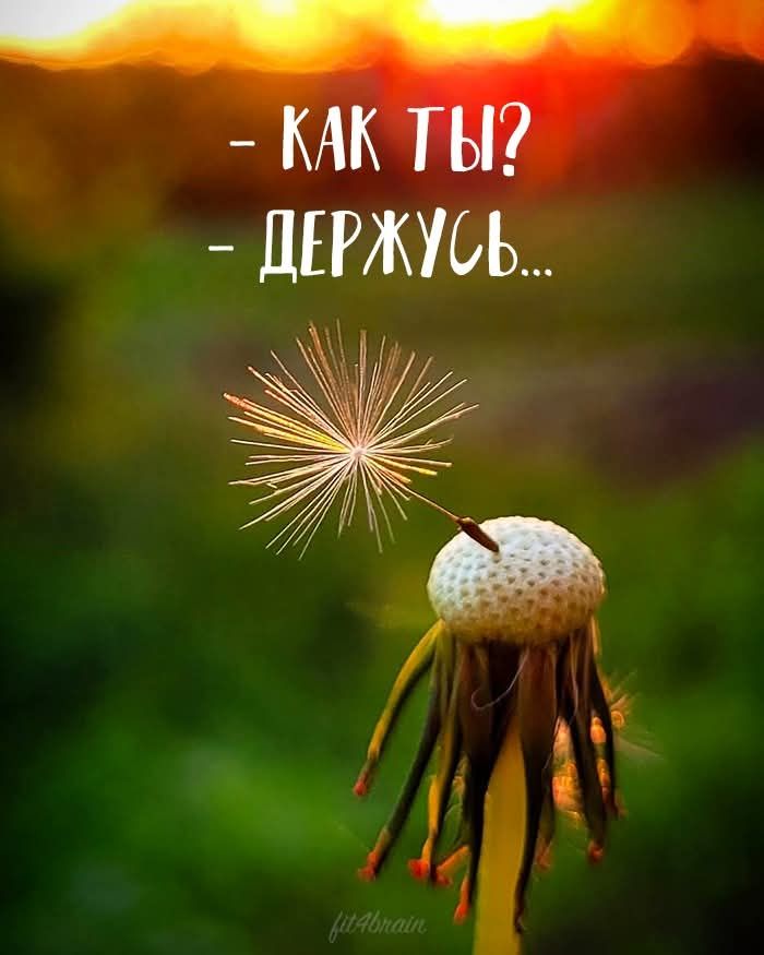 - Как ты?
- Держусь...