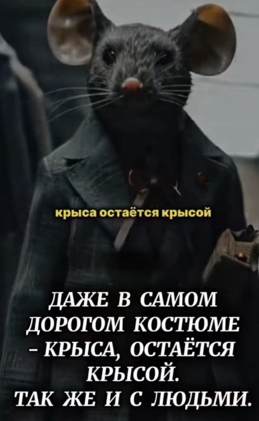даже в самом дорогом костюме - крыса, остаётся крысоЙ. Так же и с людьми.