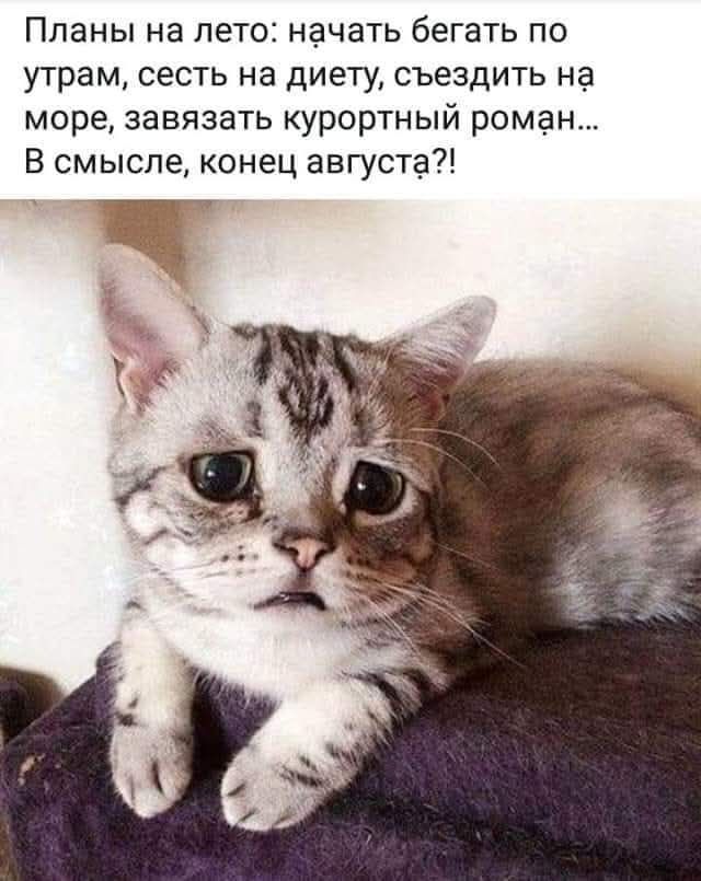 Планы на лето: начать бегать по утрам, сесть на диету, съездить на море, завязать курортный роман... В смысле, конец августа?!
