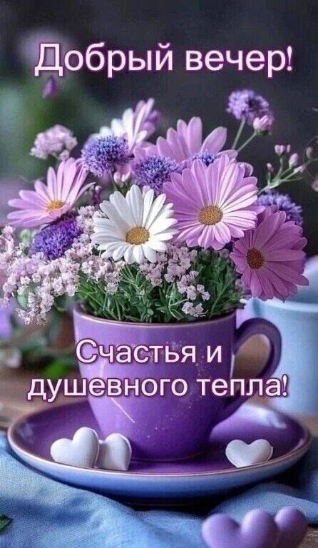 Добрый вечер! Счастья и душевного тепла!