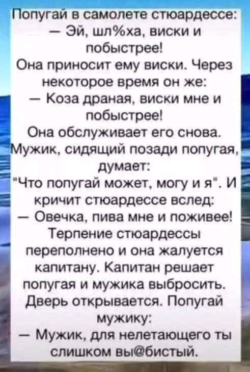 Попугай в самолете стюардессе:
— Эй, шл%уха, виски и побыстрее!
Она приносит ему виски. Через некоторое время он же:
— Коза дранья, виски мне и побыстрее!
Она обслуживает его снова. Мужик, сидящий позади попугая, думает:
“Что попугай может, могу и я”. И кричит стюардессе вслед:
— Овечка, пива мне и пох*йее!
Терпение стюардессы переполнено и она жалуется капитану. Капитан решает попугая и мужика выбросить. Дверь открывается. Попугай мужику:
— Мужик, для neлетaющего ты слишком вы@быстый.