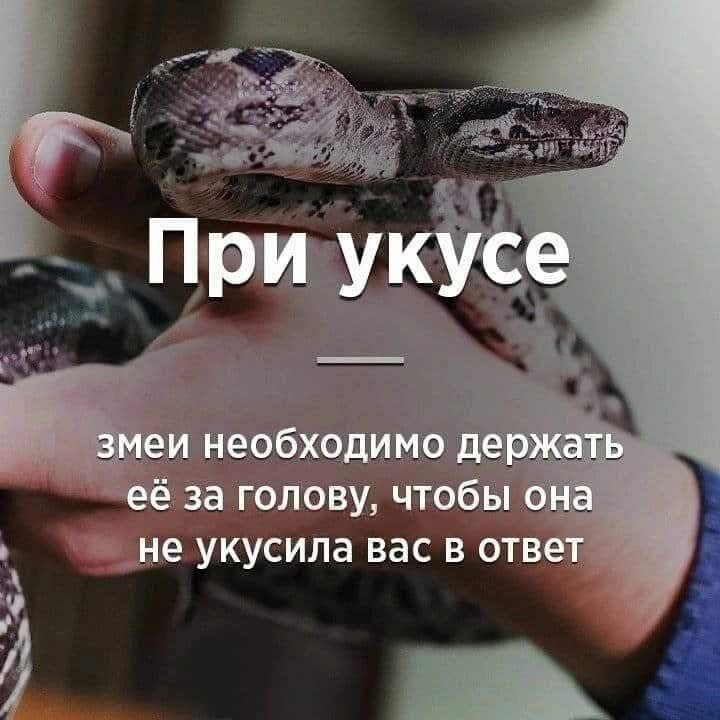 При укусе
змее необходимо держать её за голову, чтобы она не укусила вас в ответ