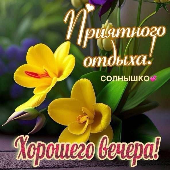 Приятного отдыха! СОЛНЫШКО💖 Хорошего вечера!