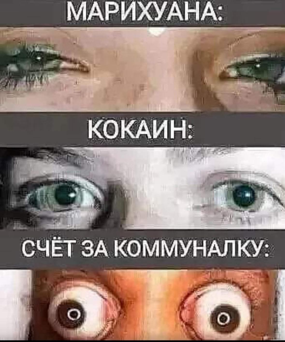 МАРИХУАНА:  КОКАИН:  СЧЕТ ЗА КОММУНАЛКУ: