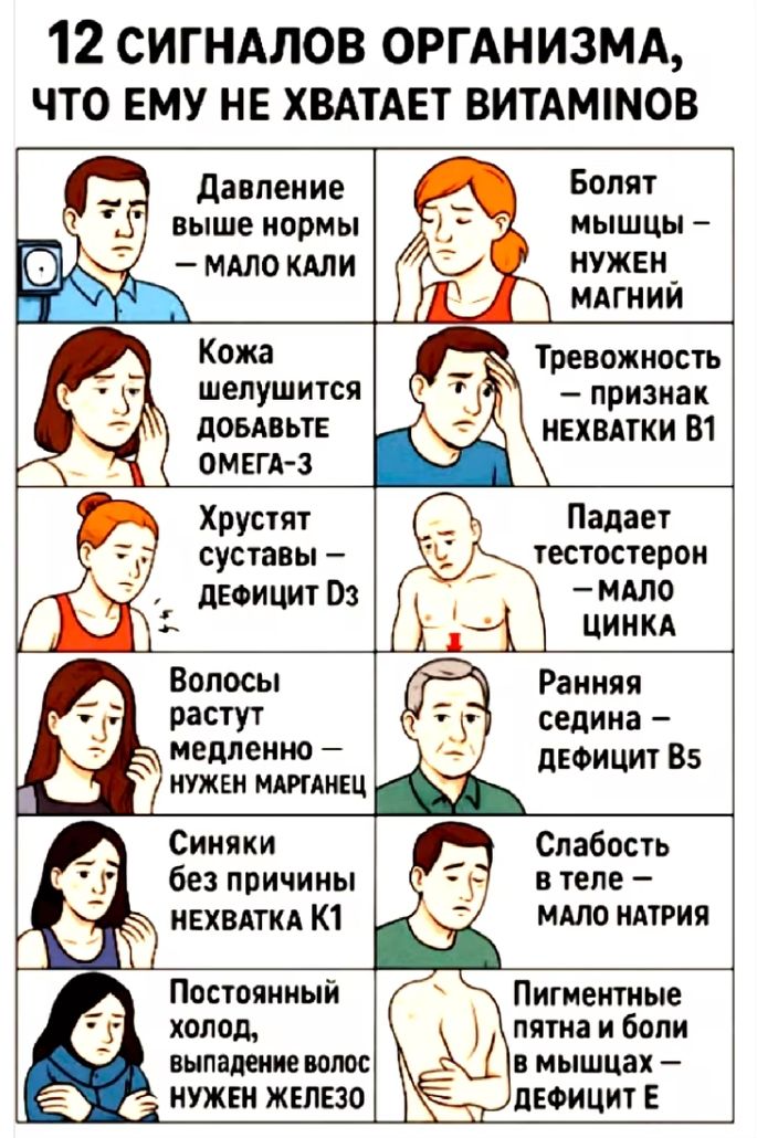 12 сигналов организма, что ему не хватает витаминов
Давление выше нормы – мало калия
Болят мышцы – нужен магний
Кожа шелушится – добавьте ОМЕГА-3
Тревожность – признак нехватки B1
Хрустят суставы – дефицит D3
Падает тестостерон – мало цинка
Волосы растут медленно – нужен магний
Ранняя седина – дефицит B5
Синяки без причины – нехватка K1
Постоянный холод, выпаданние волос – нужен железо
Слабость в теле – мало натрия
Пигментные пятна и боль в мышцах – дефицит E
