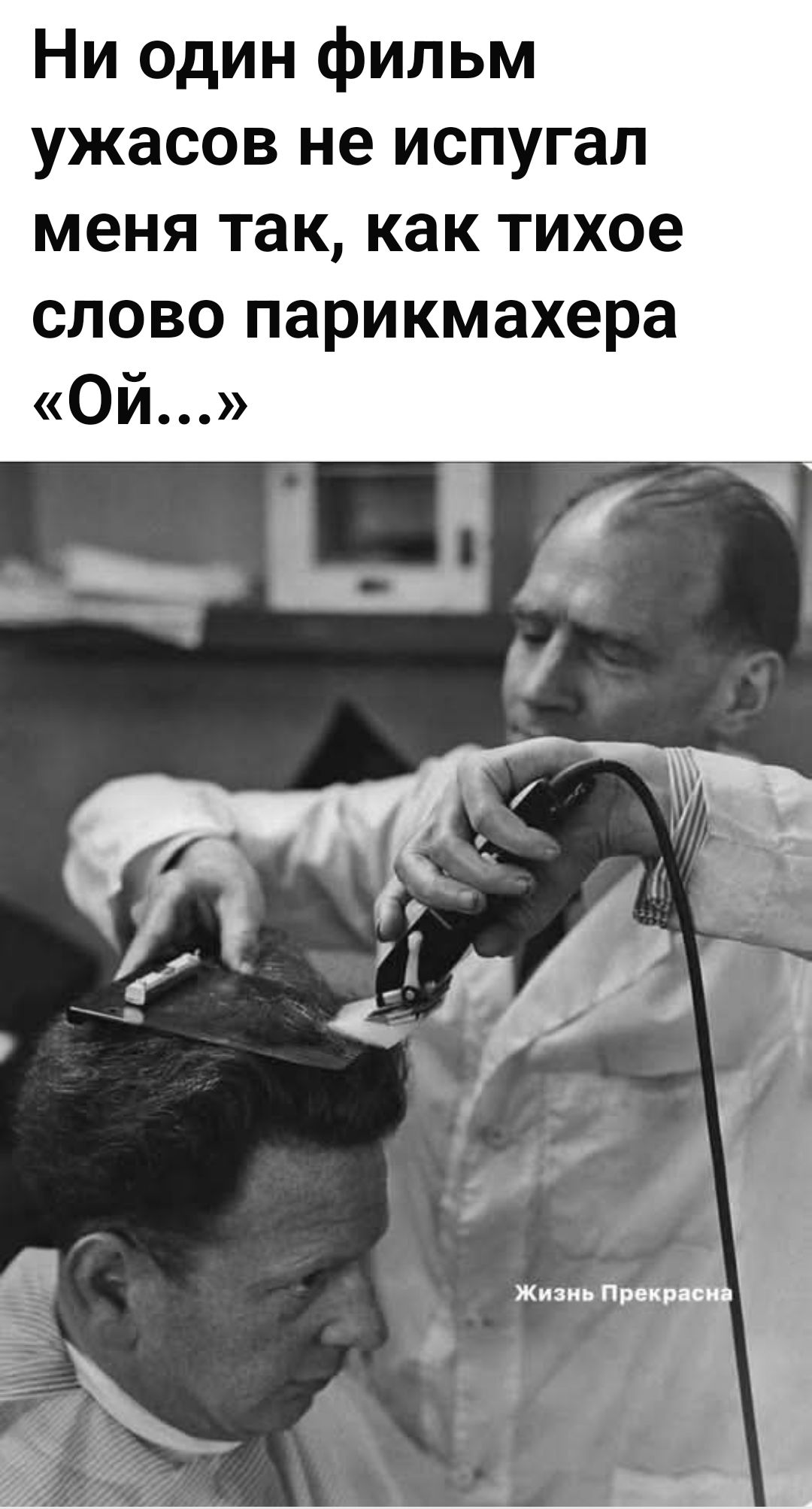 Ни один фильм ужасов не испугал меня так, как тихое слово парикмахера «Ой...»