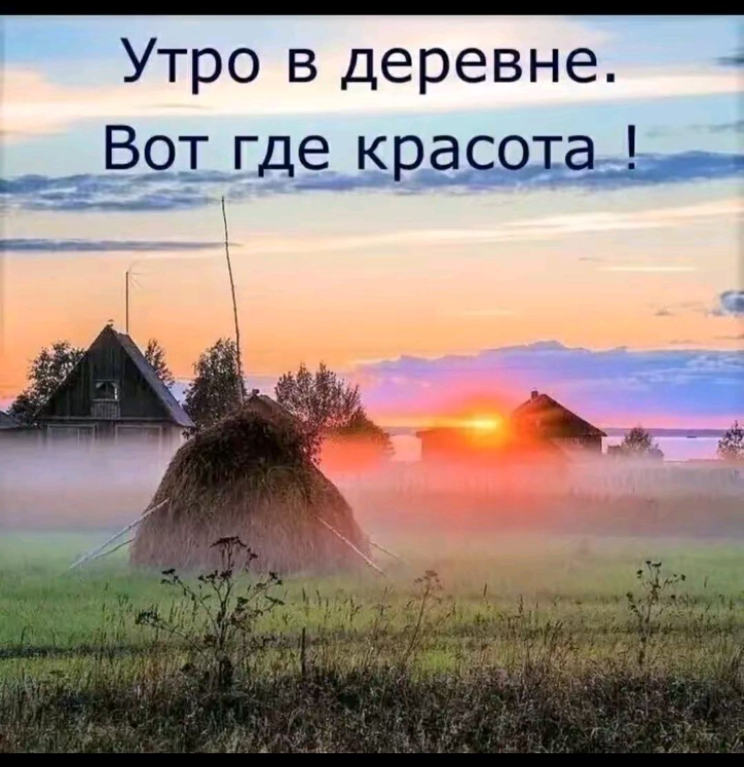 Утро в деревне. Вот где красота !