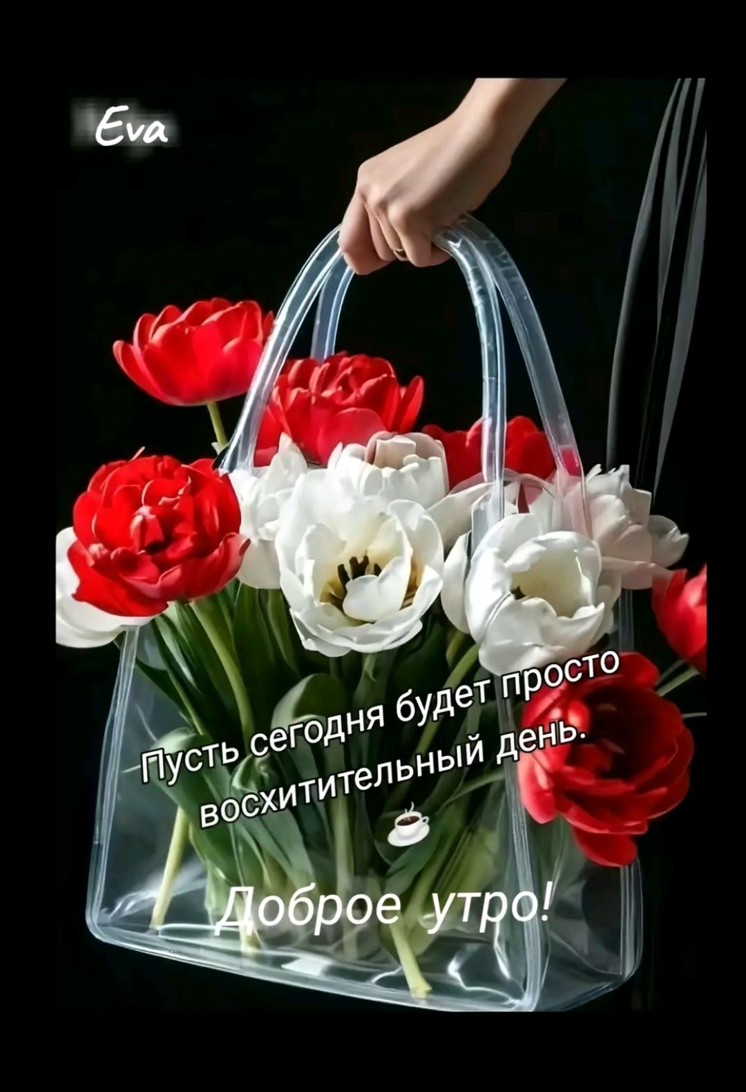 Пусть сегодня будет просто восхитительный день.
Доброе утро!