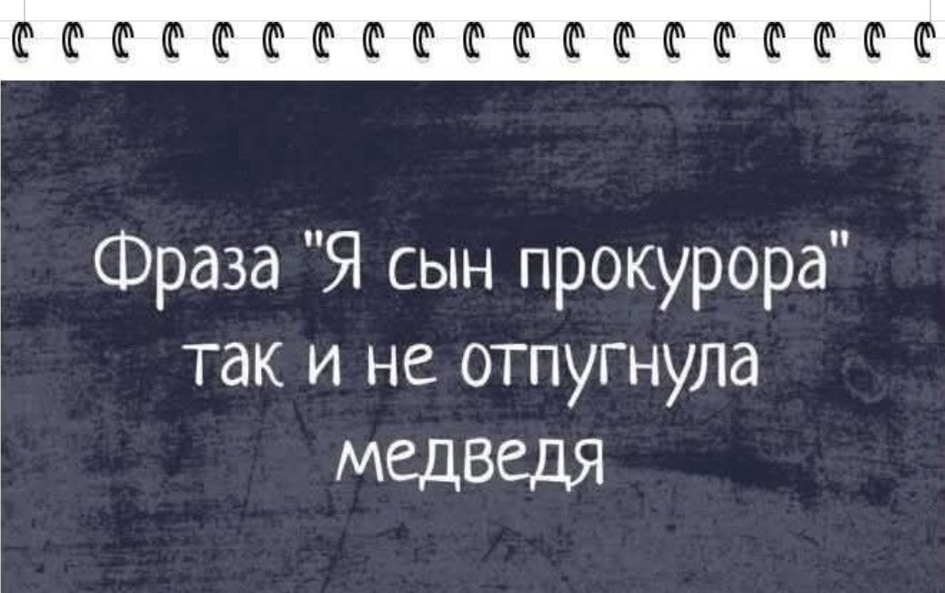 Фраза 