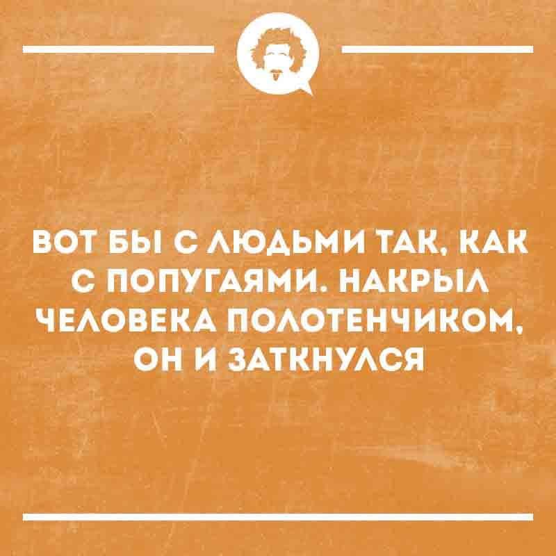 ВОТ БЫ С ЛЮДЬМИ ТАК, КАК С ПОПУГАЯМИ. НАКРЫЛ ЧЕЛОВЕКА ПОЛОТЕНЧИКОМ, ОН И ЗАТКУЛСЯ