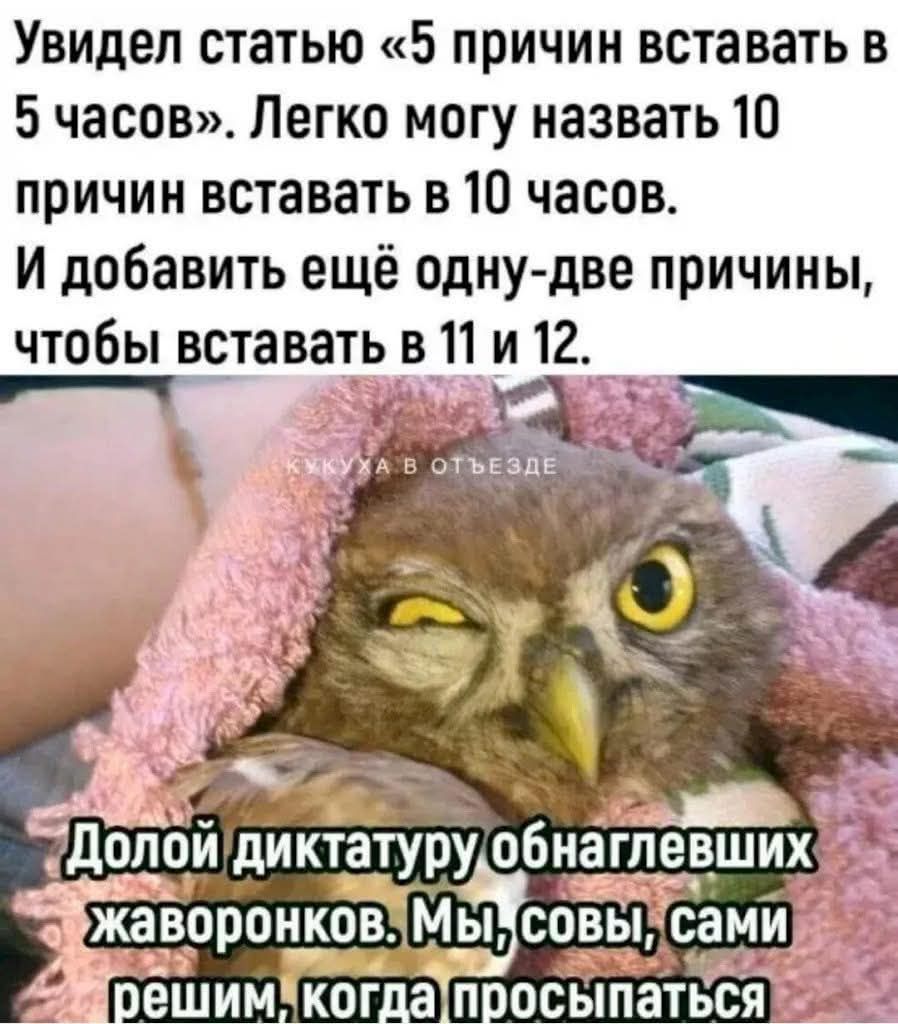Увидел статью «5 причин вставать в 5 часов». Легко могу назвать 10 причин вставать в 10 часов. И добавить ещё одну-две причины, чтобы вставать в 11 и 12.

Долой диктатуру обнаглевших жаворонков. Мы, совы, сами решим, когда просыпаться.