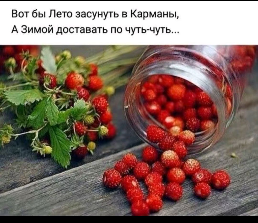Вот бы Лето засунуть в Карманы, А Зимой доставать по чуть-чуть...