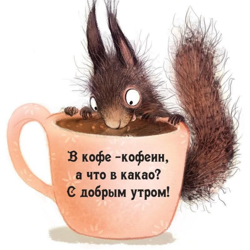 В кофе -кофеин, а что в какао? С добрым утром!