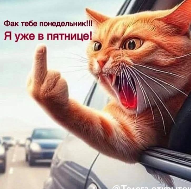 Фак тебе понедельник!!! Я уже в пятнице!