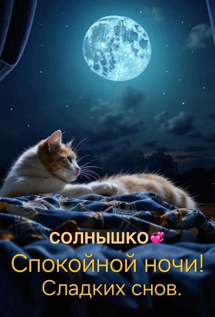 СОЛНЫШКО💕 Спокойной ночи! Сладких снов.