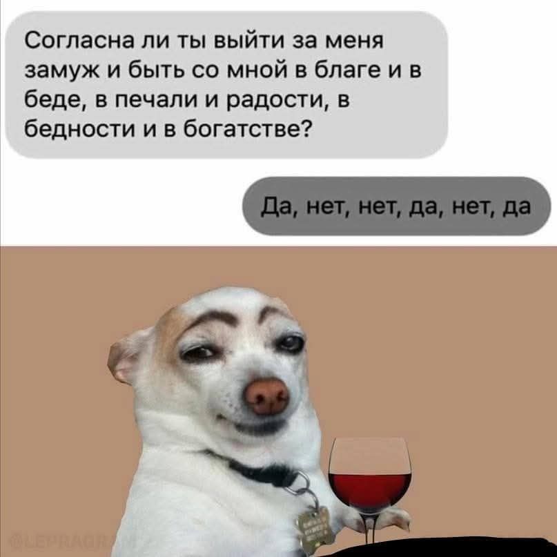 Согласна ли ты выйти за меня замуж и быть со мною в благe и в беде, в печали и радости, в бедности и в богатстве? Да, нет, нет, да, нет, да.