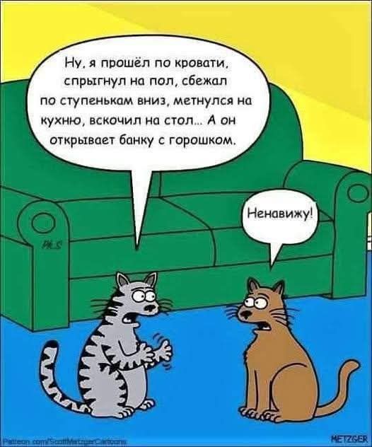 Ну, я прошёл по кровати, спрыгнул на пол, сбежал по ступенькам вниз, метнулся на кухню, вскочил на стол... А он открывает банку с горошком. Ненавижу!