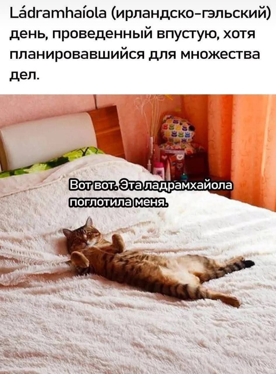 Ládramhaíola (ирландско-гэльский) день, проведённый впустую, хотя планировавшийся для множества дел.
Вот вот. Эта ладрамхайола поглотила меня.