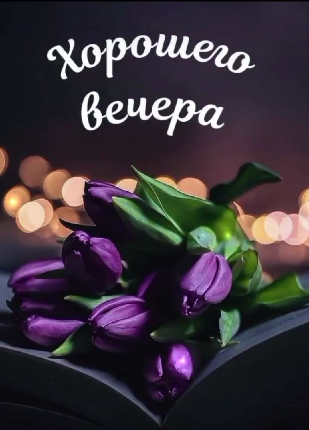 Хорошего вечера