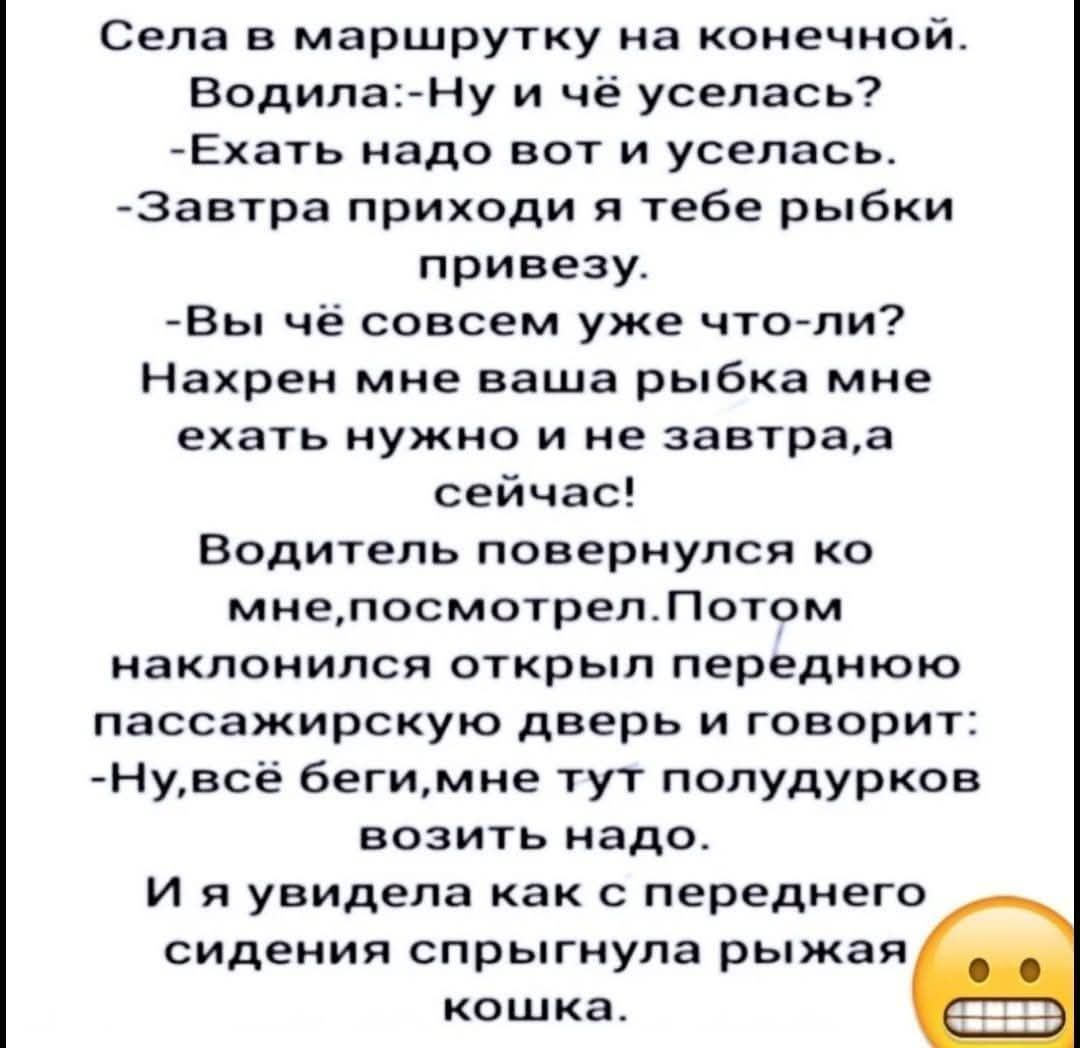 Села в маршрутку на конечной.
Водила:-Ну и чё успелась?
-Ехать надо вот и успелась.
-Завтра приходи и тебе рыбки привезу.
-Вы чё совсем уже что-ли?
Нахрен мне ваша рыбка мне ехать нужно и не завтра, а сейчас!
Водитель повернулся ко мне, посмотрел. Потом наклонился открыл переднюю пассажирскую дверь и говорит:
-Ну, всё бегим, мне тут полудурков возить надо.
И я увидела как с переднего сидения sprangнула рыжая кошка.
