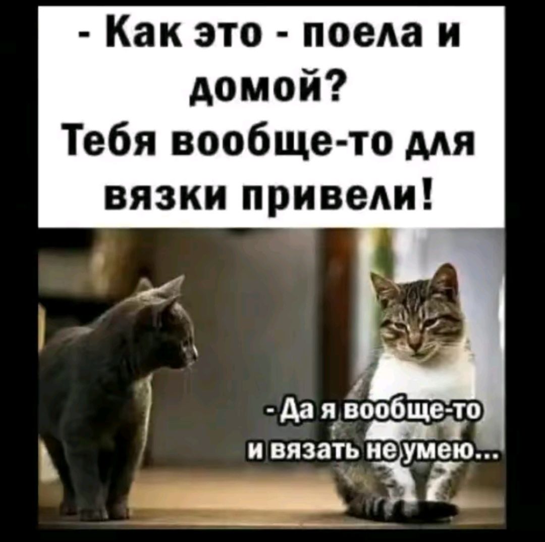 - Как это - поела и домой? Тебя вообще-то для вязки привели! - Да я вообще-то и вязать не умею...